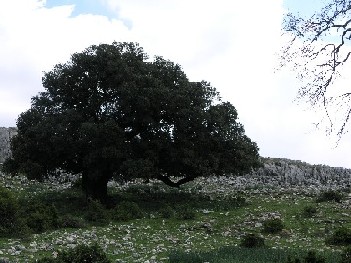 Estuvimos una semana en esta maravillosa casa. La foto la tom� haciendo senderismo por el Parque Natural